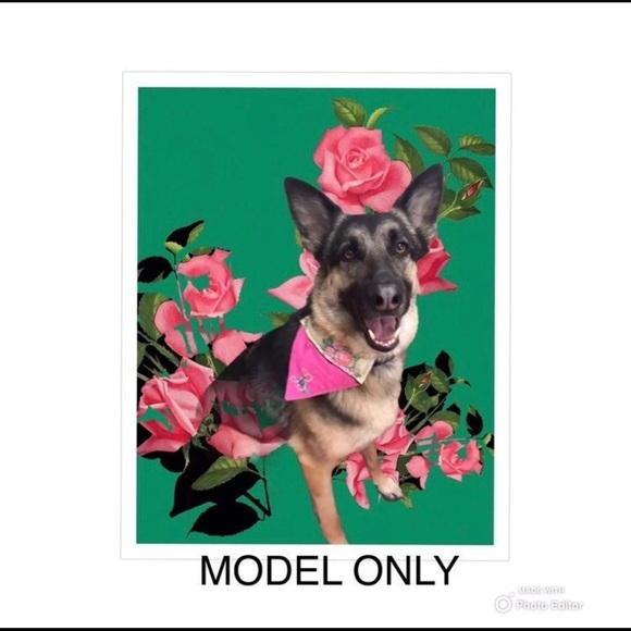 HANDMADE DOG BANDANA EMBROIDERED RESCUED PERSONALIZED AVAILABLE SLIP ON NO TIES - Picture 7 of 7